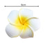 Frangipani Foam Flower